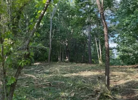 Stunning 2.5+/-acre unrestricted property on Middle Ridge Road in Beersheba Springs, TN