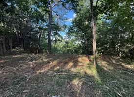Stunning 2.5+/-acre unrestricted property on Middle Ridge Road in Beersheba Springs, TN