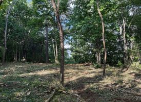 Stunning 2.5+/-acre unrestricted property on Middle Ridge Road in Beersheba Springs, TN