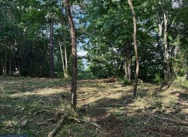 Stunning 2.5+/-acre unrestricted property on Middle Ridge Road in Beersheba Springs, TN