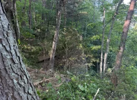 Stunning 2.5+/-acre unrestricted property on Middle Ridge Road in Beersheba Springs, TN