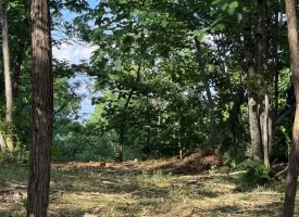 Stunning 2.5+/-acre unrestricted property on Middle Ridge Road in Beersheba Springs, TN