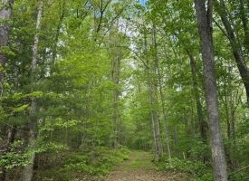 400.16+/- acres Perfect Opportunity for your Family Compound.