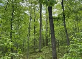 400.16+/- acres Perfect Opportunity for your Family Compound.