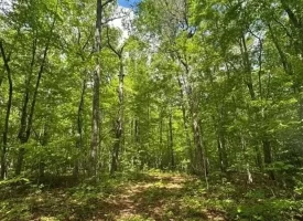 400.16+/- acres Perfect Opportunity for your Family Compound.