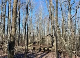 400.16+/- acres Perfect Opportunity for your Family Compound.