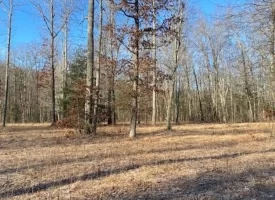 400.16+/- acres Perfect Opportunity for your Family Compound.