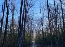 400.16+/- acres Perfect Opportunity for your Family Compound.