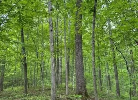 400.16+/- acres Perfect Opportunity for your Family Compound.