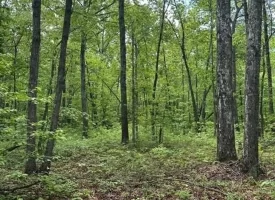 400.16+/- acres Perfect Opportunity for your Family Compound.