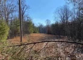400.16+/- acres Perfect Opportunity for your Family Compound.