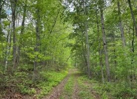 400.16+/- acres Perfect Opportunity for your Family Compound.