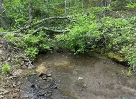 400.16+/- acres Perfect Opportunity for your Family Compound.