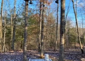 400.16+/- acres Perfect Opportunity for your Family Compound.