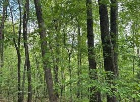 400.16+/- acres Perfect Opportunity for your Family Compound.