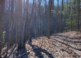 400.16+/- acres Perfect Opportunity for your Family Compound.