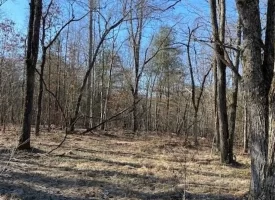 400.16+/- acres Perfect Opportunity for your Family Compound.
