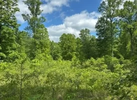 400.16+/- acres Perfect Opportunity for your Family Compound.