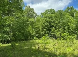 400.16+/- acres Perfect Opportunity for your Family Compound.