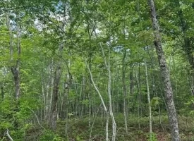 400.16+/- acres Perfect Opportunity for your Family Compound.