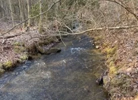 400.16+/- acres Perfect Opportunity for your Family Compound.