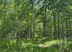 400.16+/- acres Perfect Opportunity for your Family Compound.