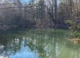 400.16+/- acres Perfect Opportunity for your Family Compound.