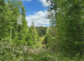 400.16+/- acres Perfect Opportunity for your Family Compound.