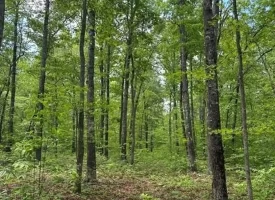 400.16+/- acres Perfect Opportunity for your Family Compound.