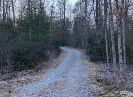 400.16+/- acres Perfect Opportunity for your Family Compound.