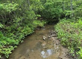 400.16+/- acres Perfect Opportunity for your Family Compound.