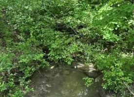 400.16+/- acres Perfect Opportunity for your Family Compound.