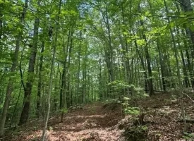 400.16+/- acres Perfect Opportunity for your Family Compound.