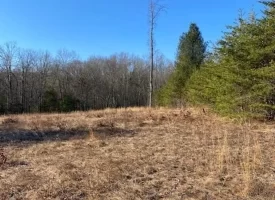 400.16+/- acres Perfect Opportunity for your Family Compound.