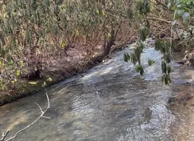 400.16+/- acres Perfect Opportunity for your Family Compound.