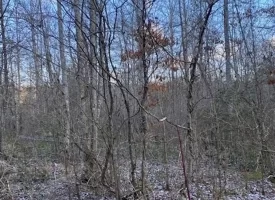 400.16+/- acres Perfect Opportunity for your Family Compound.