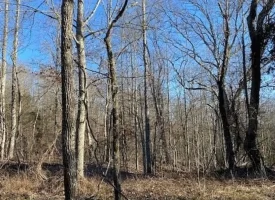 400.16+/- acres Perfect Opportunity for your Family Compound.