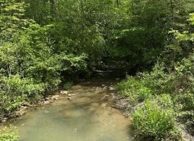 400.16+/- acres Perfect Opportunity for your Family Compound.