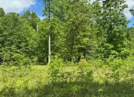 400.16+/- acres Perfect Opportunity for your Family Compound.
