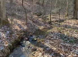 400.16+/- acres Perfect Opportunity for your Family Compound.