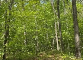400.16+/- acres Perfect Opportunity for your Family Compound.