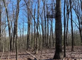 400.16+/- acres Perfect Opportunity for your Family Compound.