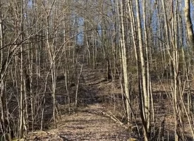 400.16+/- acres Perfect Opportunity for your Family Compound.