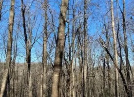 400.16+/- acres Perfect Opportunity for your Family Compound.