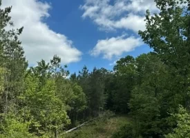 400.16+/- acres Perfect Opportunity for your Family Compound.
