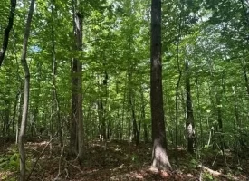 400.16+/- acres Perfect Opportunity for your Family Compound.