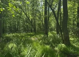 400.16+/- acres Perfect Opportunity for your Family Compound.