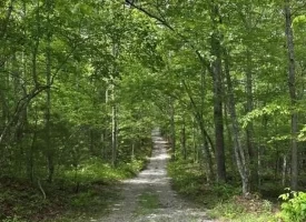 400.16+/- acres Perfect Opportunity for your Family Compound.
