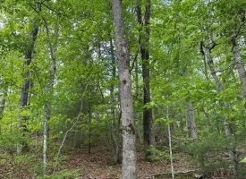 400.16+/- acres Perfect Opportunity for your Family Compound.