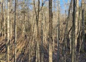 400.16+/- acres Perfect Opportunity for your Family Compound.